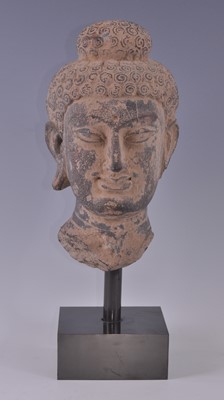 Lot 2443 - A Gandharan Buddha head, the schist head...