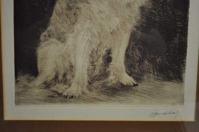 Lot 1023 - Kurt Meyer-Eberhardt (German, 1895-1977) - dog...