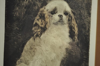 Lot 1023 - Kurt Meyer-Eberhardt (German, 1895-1977) - dog...