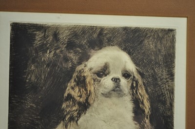 Lot 1023 - Kurt Meyer-Eberhardt (German, 1895-1977) - dog...