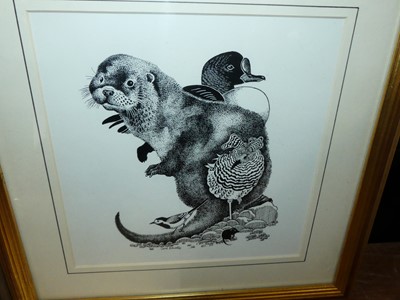 Lot 1136 - Jane Brewer - Otter study, ink drawing, signed...