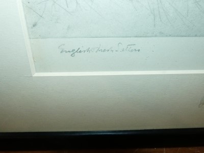 Lot 1136 - Jane Brewer - Otter study, ink drawing, signed...
