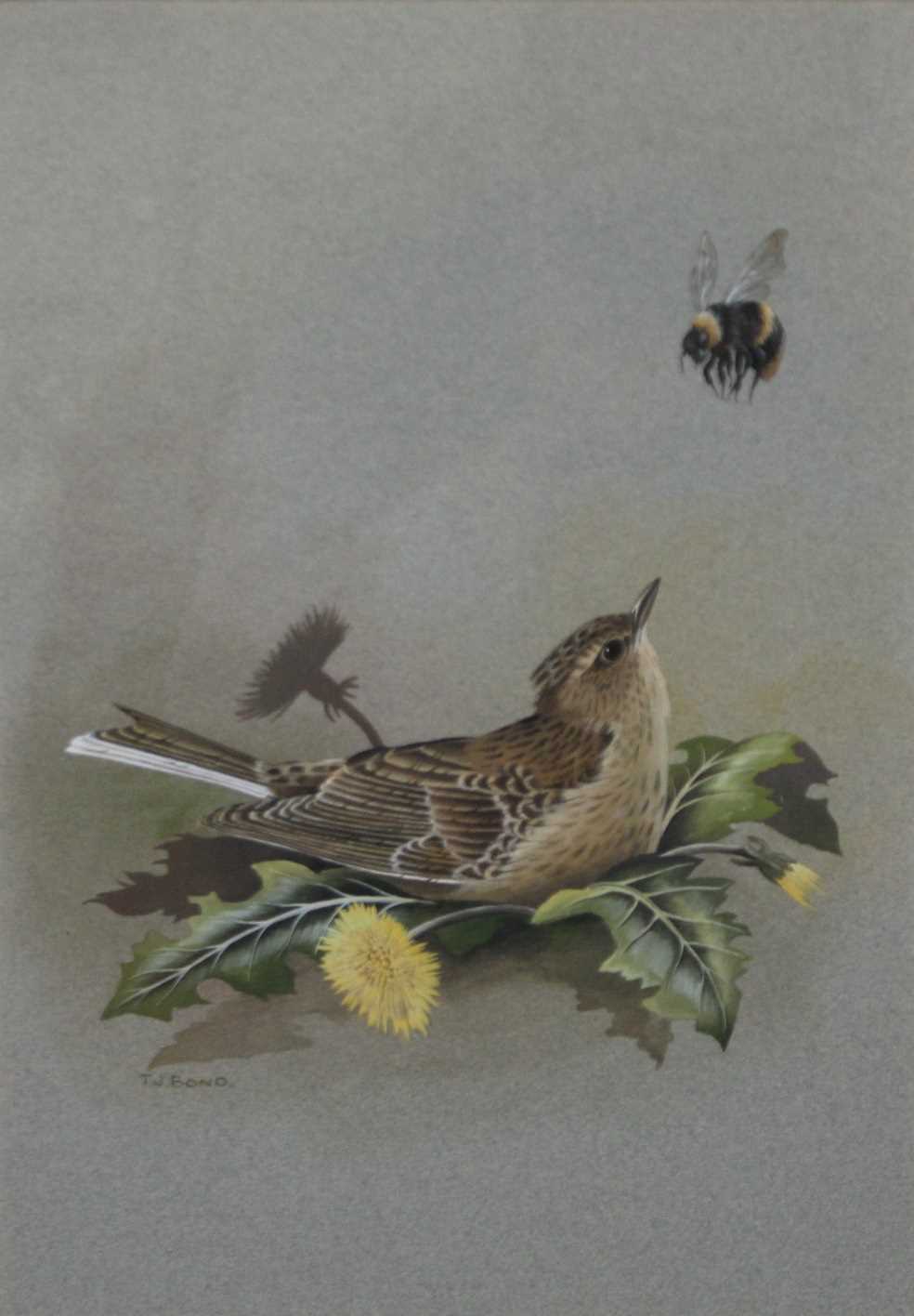 Lot 2488 - Terence James Bond (b.1946) - Skylark, gouache,...