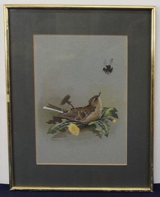 Lot 2488 - Terence James Bond (b.1946) - Skylark, gouache,...