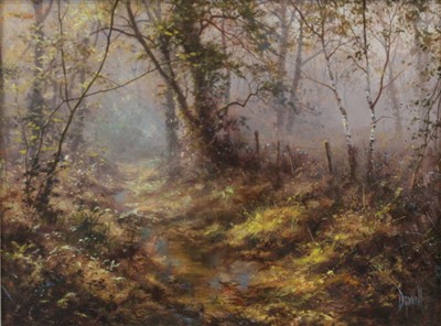 Lot 2566 - David Dipnall (b.1941) - Woodland stream, oil...