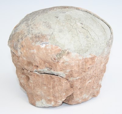 Lot 2355 - A fossilised dinosaur? egg, possibly late...