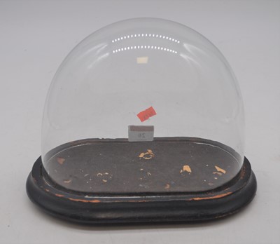 Lot 20 - A Victorian glass dome mounted upon an...