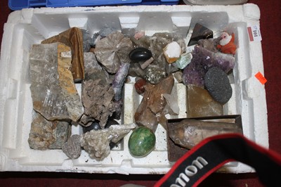 Lot 101 - A collection of shells and minerals