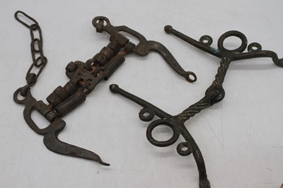 Lot 224 - A collection of 19th century and later horse bits