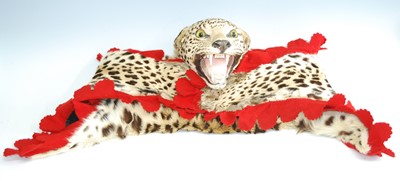 Lot 457 - A taxidermy Leopard skin rug, (Panthera pardus...