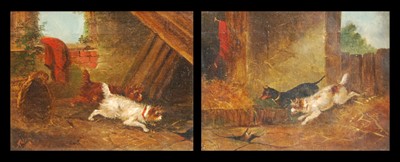 Lot 2497 - A Blake - Pair; Terriers ratting, oil on...