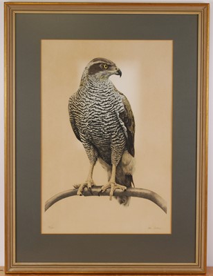 Lot 1084 - After Don Cordery, (b. 1942), Goshawk, limited...