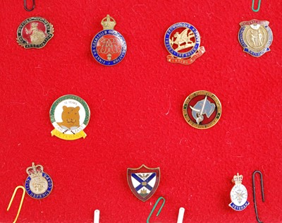 Lot 168 - A collection of nine veterans enamelled lapel...