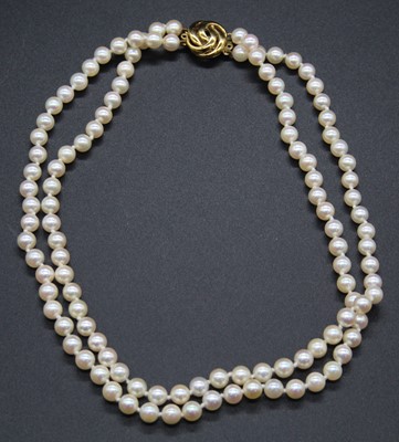 Lot 481 - A cultured pearl double string knotted choker,...