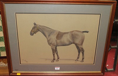 Lot 1012 - CJ Loreg - Study of a Bay Thoroughbred,...