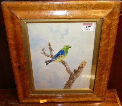 Lot 1127 - 19th century English school - Study of a bird...