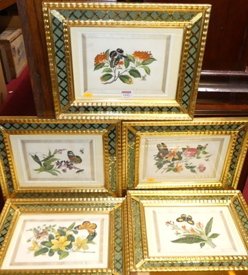 Lot 1152 - A set of five botanical and insect watercolour...