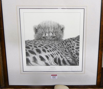 Lot 1067 - Gary Hodges - Cheetah Cub, monochrome print No....