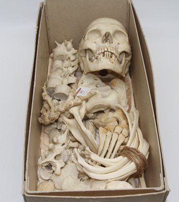 Lot 202 - A mid 20th century medical half human skeleton...