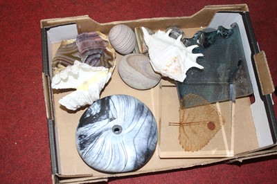 Lot 726 - A box of stones, minerals and shells to...