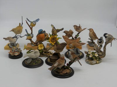 Lot 601 - A collection of Country Artists models of birds