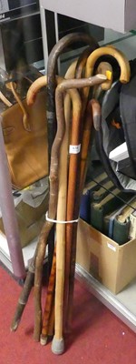 Lot 638 - A collection of walking sticks