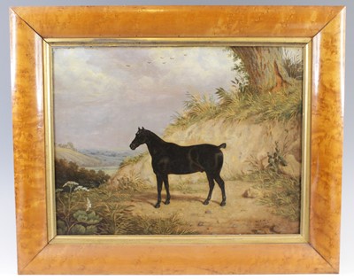 Lot 4335 - W. S. G. - Study of a black thoroughbred...