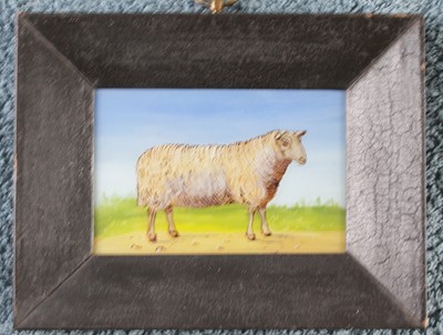 Lot 4348 - John Morley (b.1942) - Prize sheep, reverse...