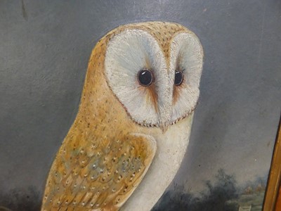 Lot 4336 - 19th century English school - Study of an owl,...