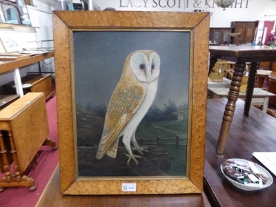 Lot 4336 - 19th century English school - Study of an owl,...
