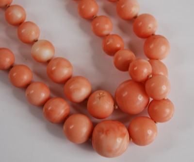 Lot 2560 - A two-row coral necklace, featuring a row of...