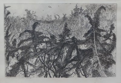 Lot 363 - Anthony Gross (1905-1984) - Large Juniper...