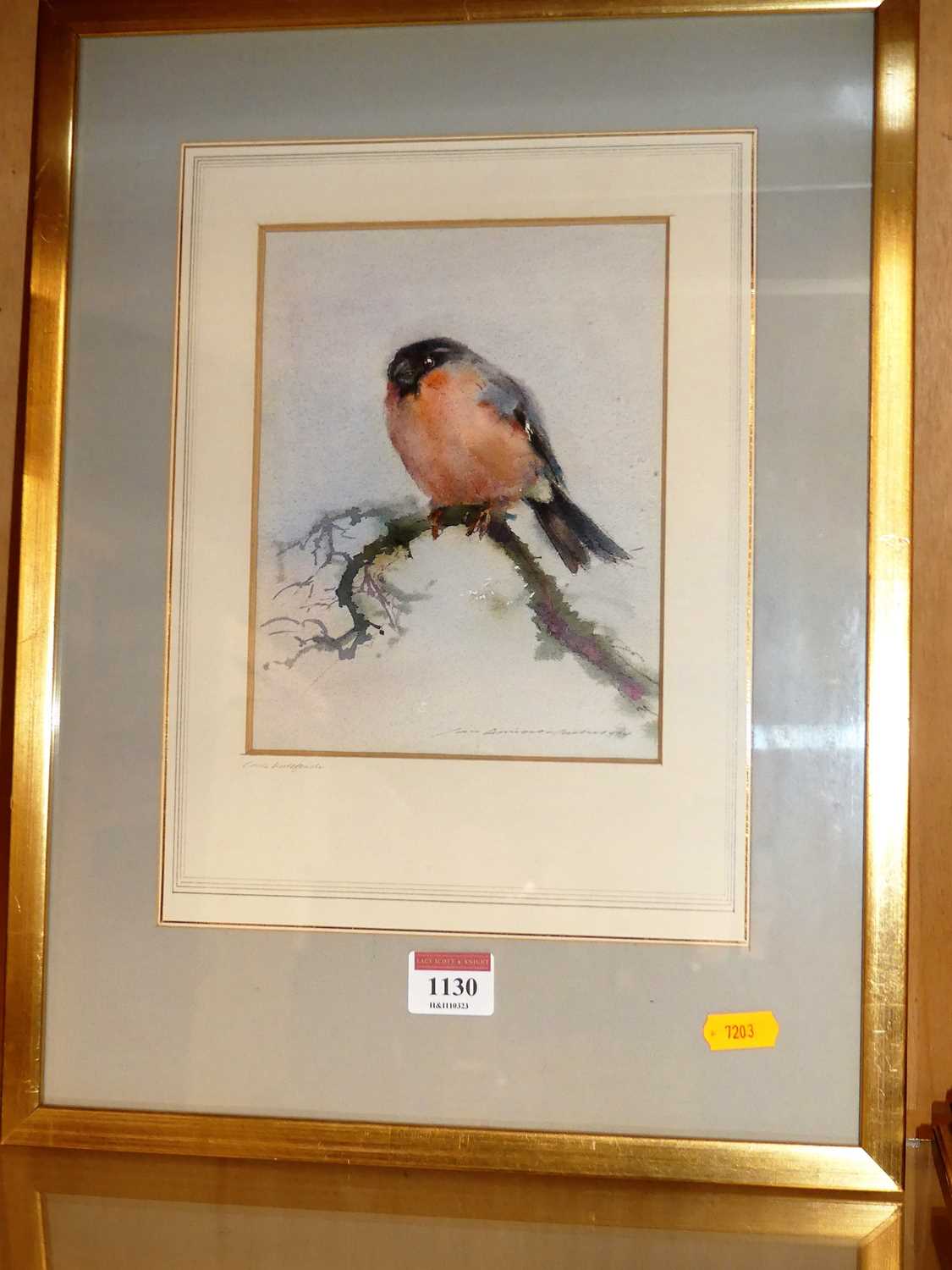 Lot 1130 - Ian Armour-Chelu - Cock Bullfinch, watercolour,...