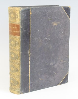 Lot 4010 - Wright, Lewis: The Illustrated Book Of Poultry,...