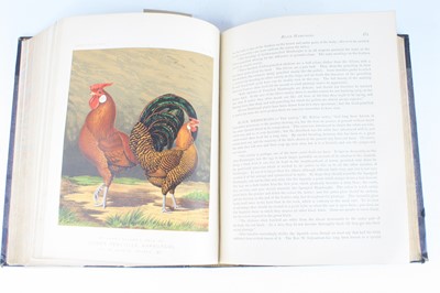 Lot 4010 - Wright, Lewis: The Illustrated Book Of Poultry,...