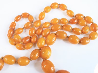 Lot 2592 - A butterscotch amber knotted necklace,...