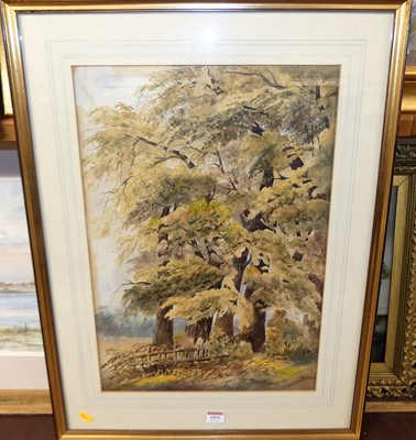 Lot 1053 - John Hamilton Glass - A tree study,...