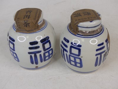 Lot 21 - A pair of Chinese blue and white glazed ginger...