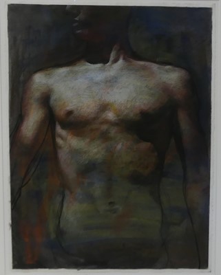 Lot 219 - Daniel Ludwig - Male Torso, mixed media on...