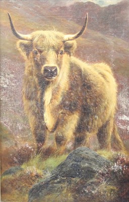 Lot 2306 - William Watson (1831-1921) - Highland bull,...