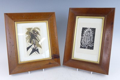 Lot 1323 - Zelda Nolte (1929-2003) - Palm trees, woodcut,...