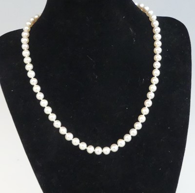 Lot 2531 - A single row of 60 cultured freshwater pearls...