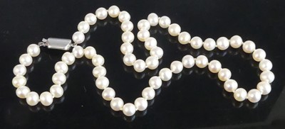 Lot 2531 - A single row of 60 cultured freshwater pearls...