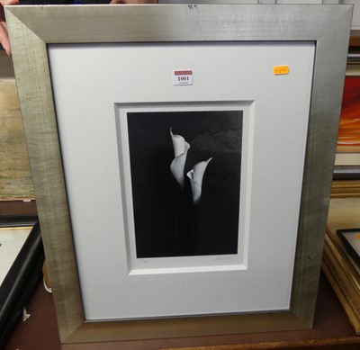 Lot 1001 - Gloria Marogevic - Duo, giclee print, signed...