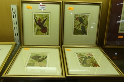 Lot 1090 - A set of four colour prints of exotic birds,...