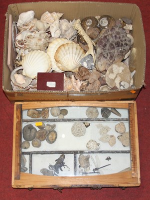 Lot 200 - Two boxes of shells and fossils