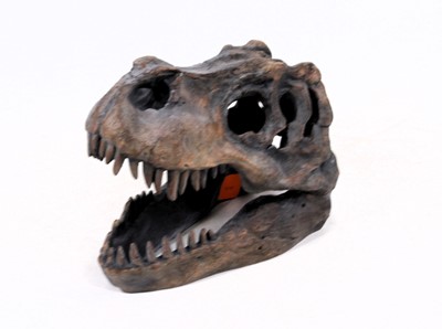 Lot 507 - A composition model of a young dinosaur jaw, w....