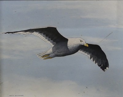 Lot 735 - David Batterbee (b.1939) - Flying Seagull, oil...