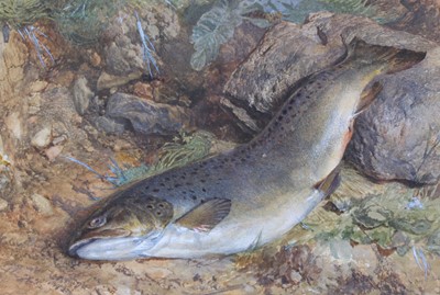 Lot 2422 - John Dawson Watson (1832-1892) - A trout from...