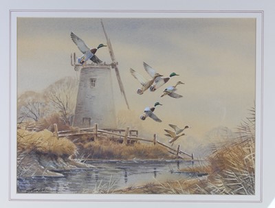 Lot 460 - Simon Trinder, (b.1958), Mallards in flight...